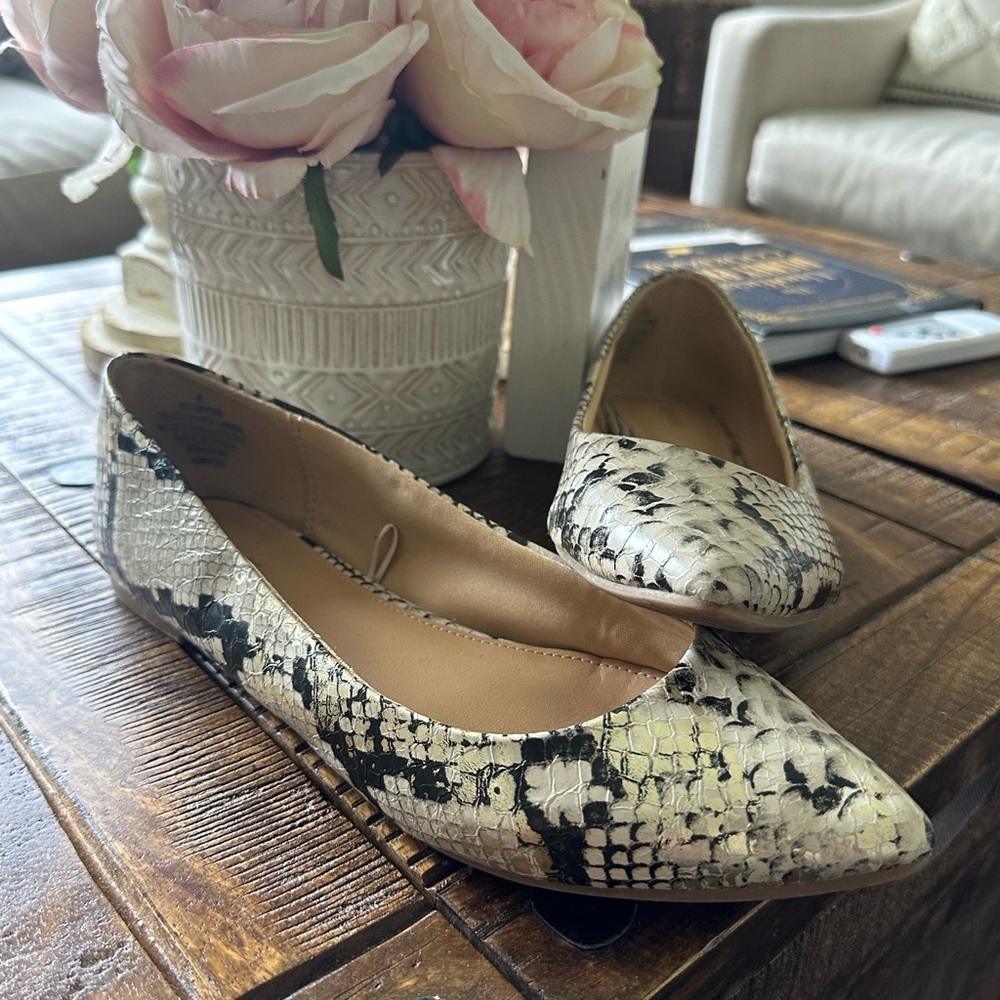 Express Snakeskin Flats